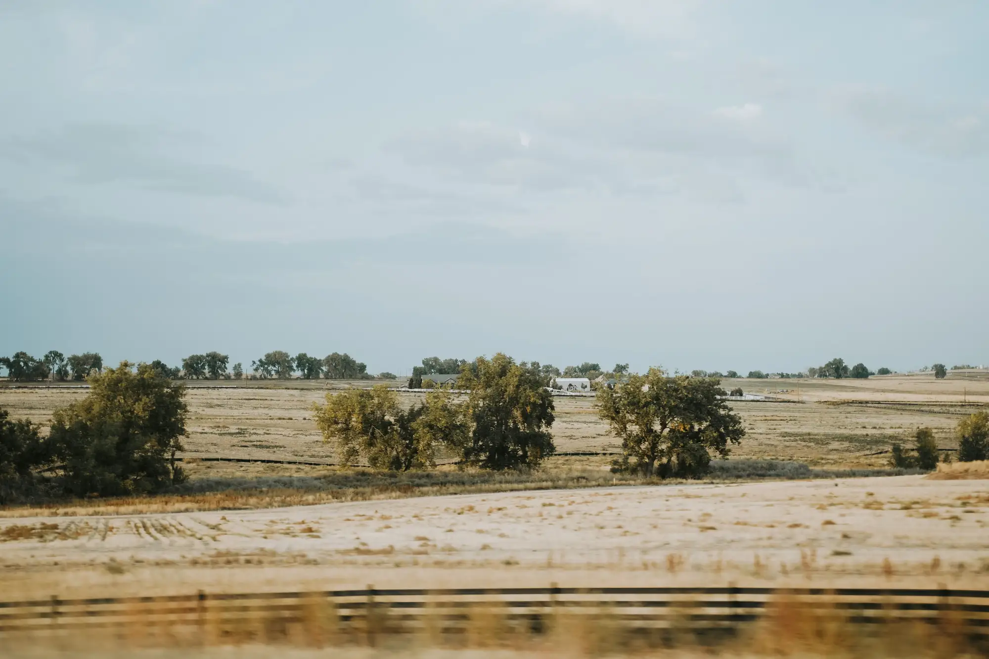 Dry fields and a line of trees behind a roadside fence on the high plains