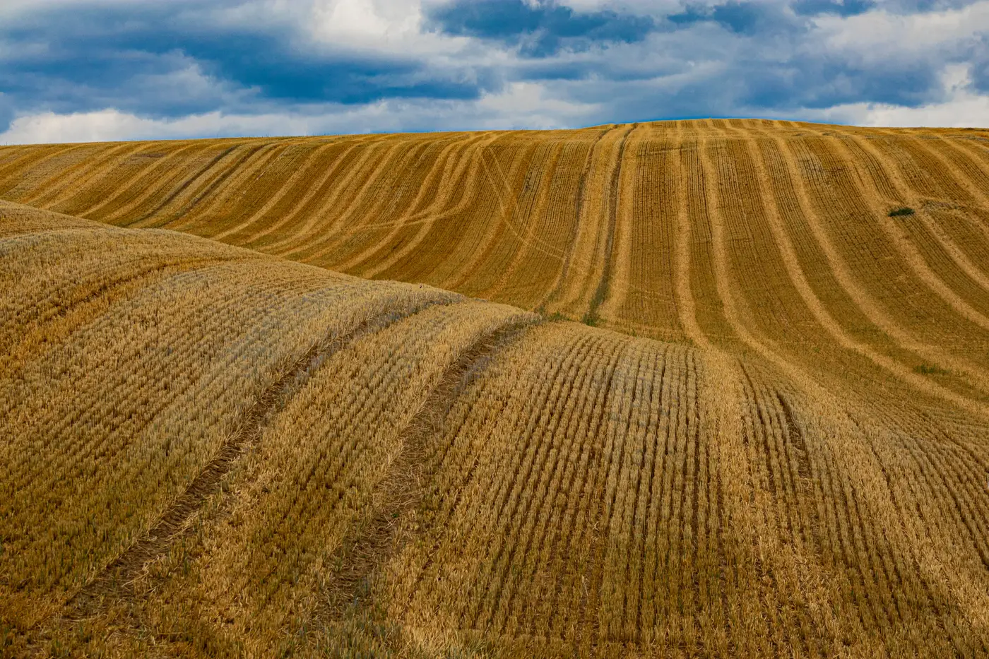 Rolling hilly cropland with visible slope and contour lines across the terrain
